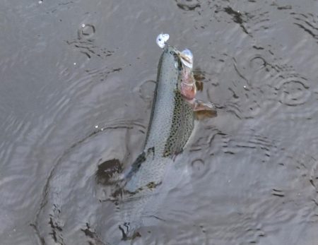 雨の平谷湖フィッシングスポットで爆釣！